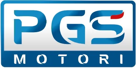 P.G.S. MOTORI D.O.O. logo