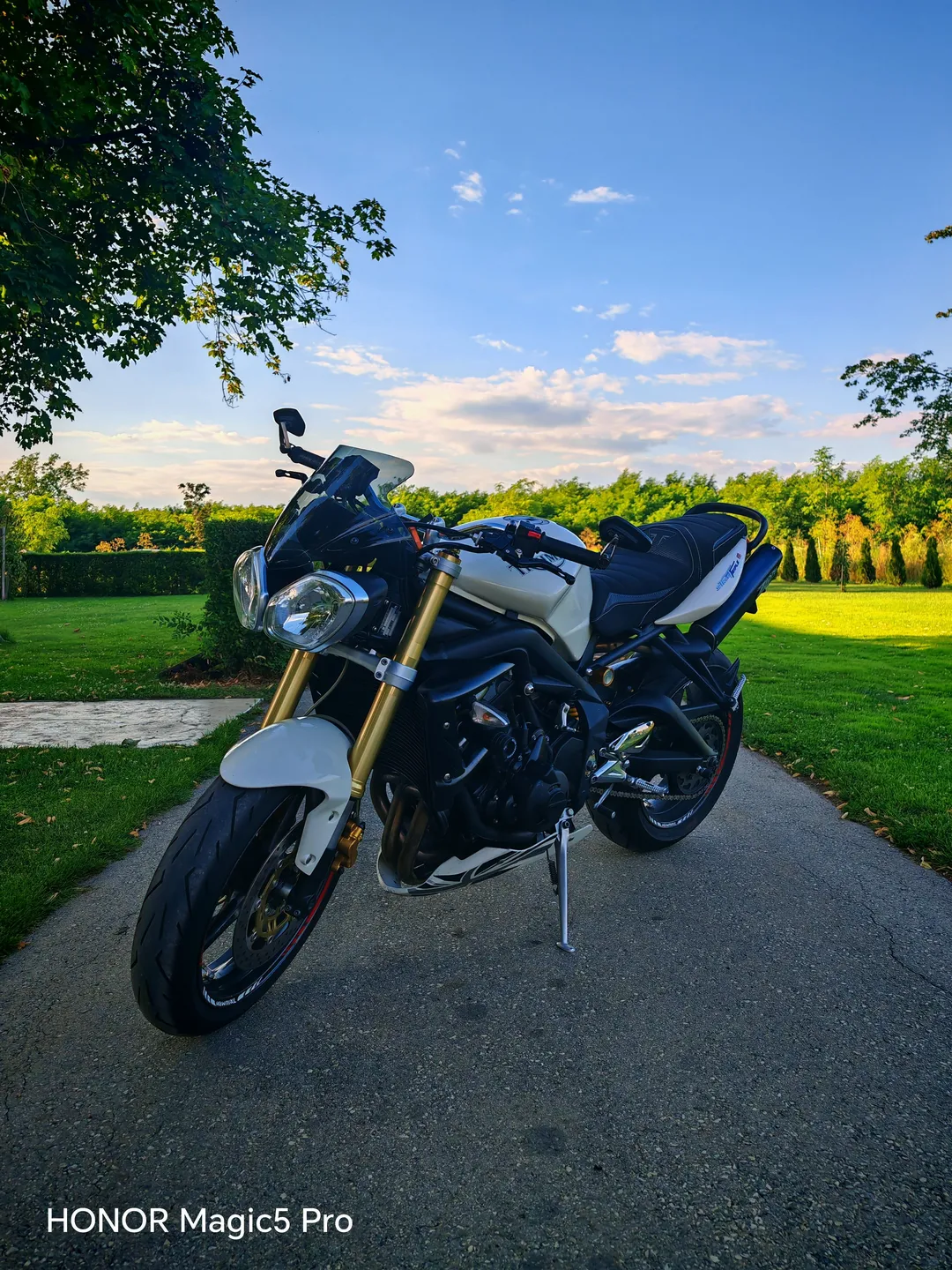 TRIUMPH Street Triple 2010