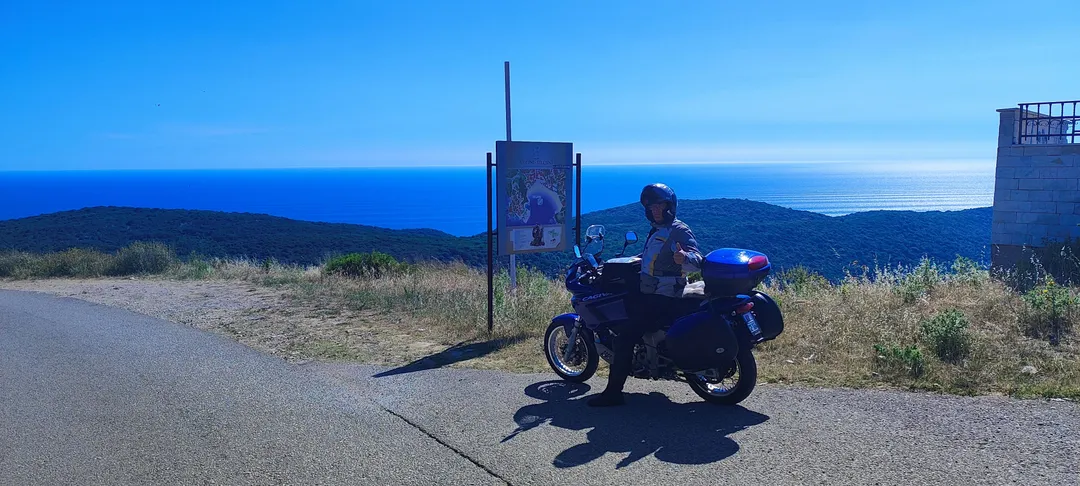 SUZUKI DL1000 V-Strom 1000 2001