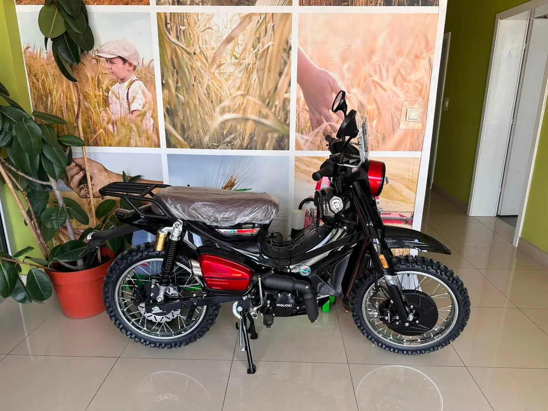 MIGLIORI APN 50 CROSS CAMMELO PRO 2026