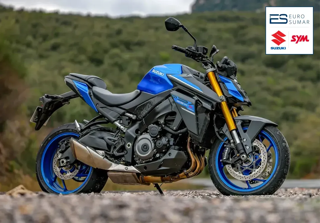 SUZUKI GSX-S1000